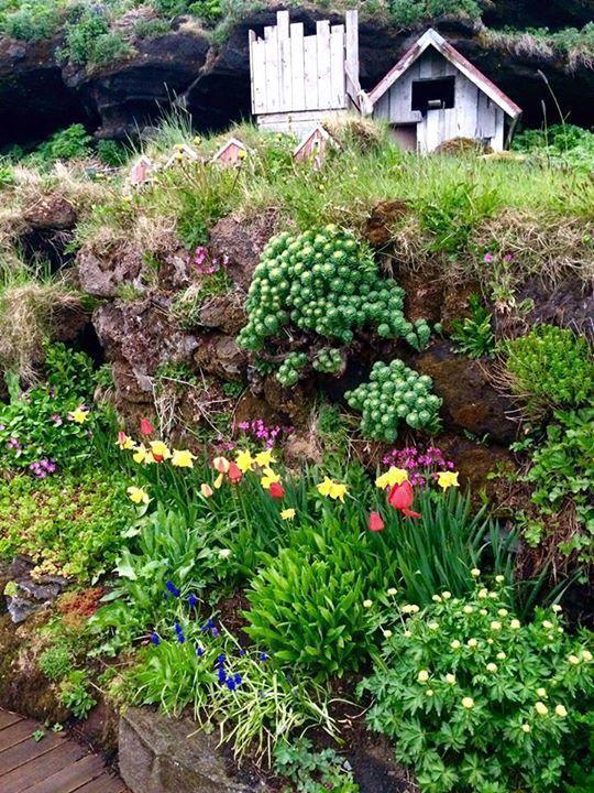 Einarsstadir Homestay Vestmannaeyjar Zewnętrze zdjęcie